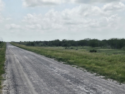 Discover 22.86 Acres of Opportunity in Sandia, Jim Wells County - image 4