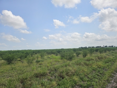 Discover 22.86 Acres of Opportunity in Sandia, Jim Wells County - image 1