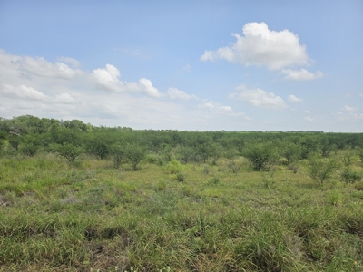 Discover 22.86 Acres of Opportunity in Sandia, Jim Wells County - image 6