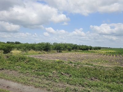 Discover 22.86 Acres of Opportunity in Sandia, Jim Wells County - image 5