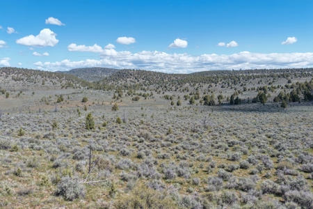 Eastern Oregon Willow Creek House - image 50