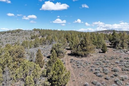 Eastern Oregon Willow Creek House - image 46