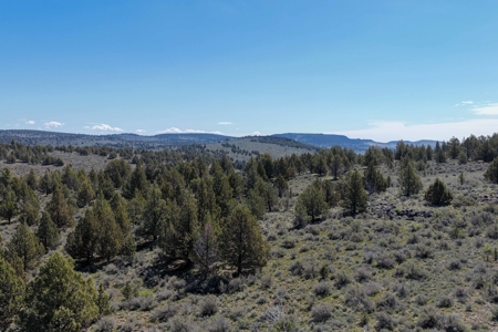 Eastern Oregon Willow Creek House - image 45