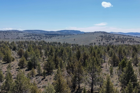 Eastern Oregon Willow Creek House - image 47