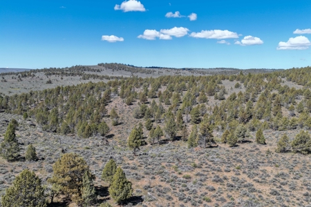 Eastern Oregon Willow Creek House - image 48