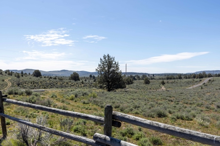 Eastern Oregon Willow Creek House - image 10