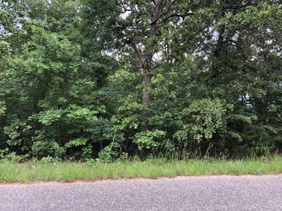 Wooded Land For Sale in Southern Missouri - image 24