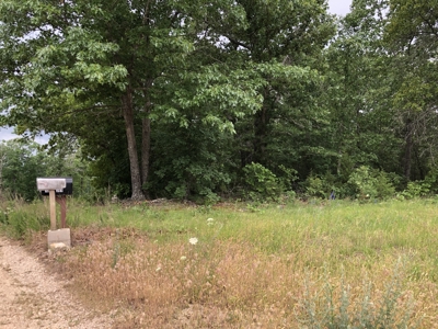 Wooded Land For Sale in Southern Missouri - image 20