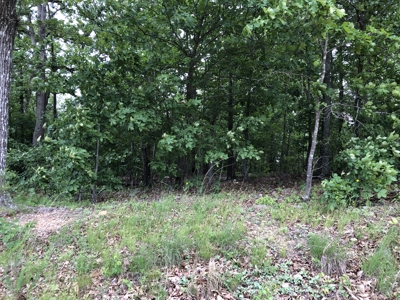 Wooded Land For Sale in Southern Missouri - image 17