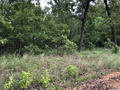 Wooded Land For Sale in Southern Missouri - image 13