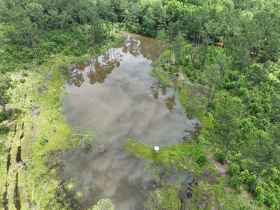 133 Acres of Timberland with Homesite Potential - image 17