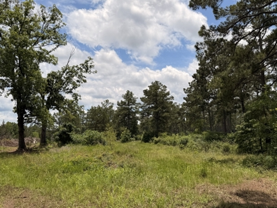 133 Acres of Timberland with Homesite Potential - image 24