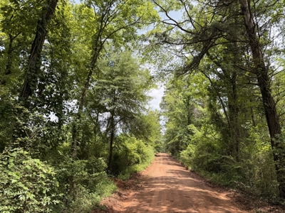133 Acres of Timberland with Homesite Potential - image 12