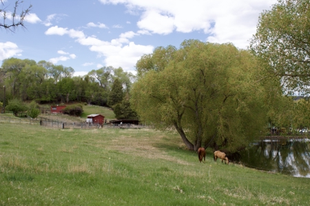 Country Living with Acreage In Montana - image 4