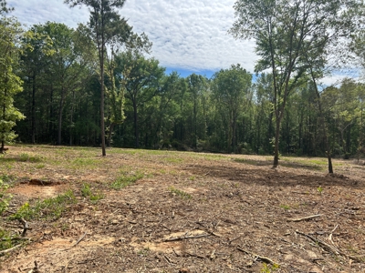 East Texas Land for Sale near Lake Bob Sandlin - image 6