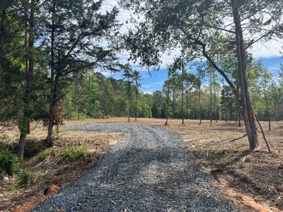 East Texas Land for Sale near Lake Bob Sandlin - image 1