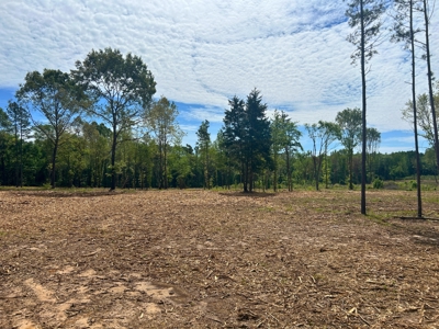 East Texas Land for Sale near Lake Bob Sandlin - image 10