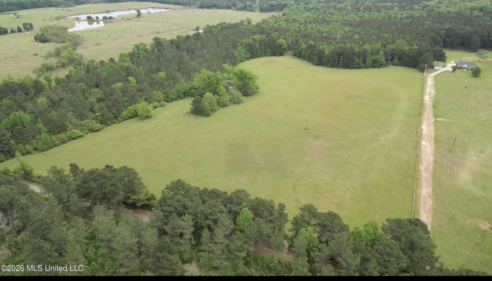 160 Acre in Bienville Parish Near Arcadia, Louisiana