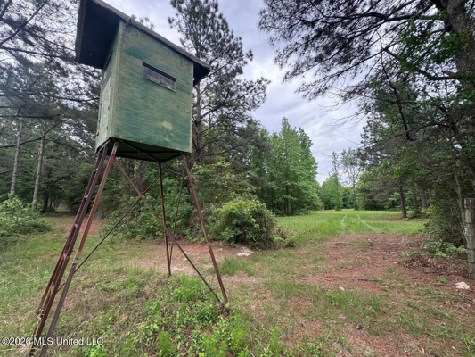 160 Acre in Bienville Parish Near Arcadia, Louisiana