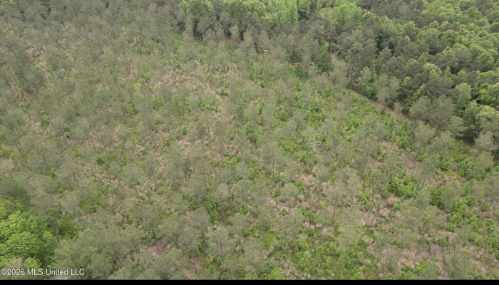 160 Acre in Bienville Parish Near Arcadia, Louisiana