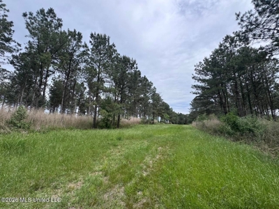 160 Acre in Bienville Parish Near Arcadia, Louisiana - image 10