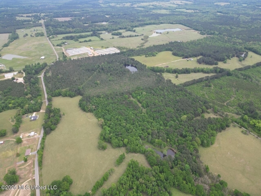 160 Acre in Bienville Parish Near Arcadia, Louisiana