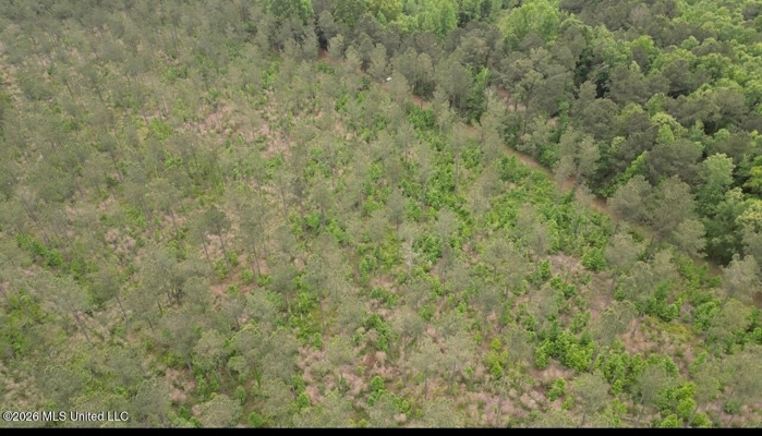 160 Acre in Bienville Parish Near Arcadia, Louisiana