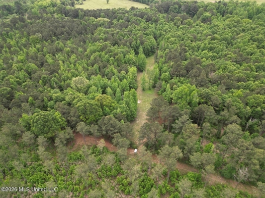 160 Acre in Bienville Parish Near Arcadia, Louisiana