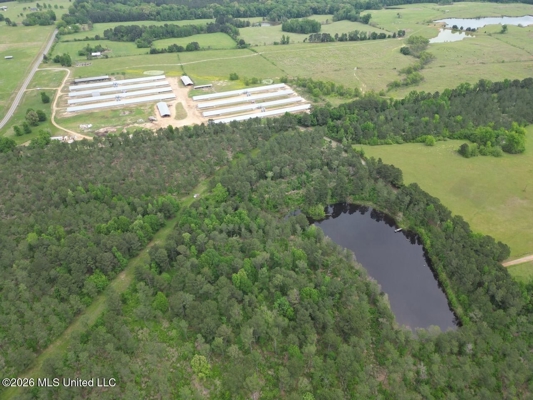 160 Acre in Bienville Parish Near Arcadia, Louisiana