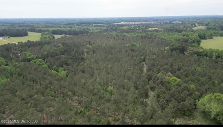 160 Acre in Bienville Parish Near Arcadia, Louisiana - image 25