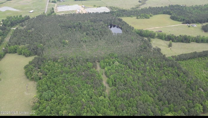 160 Acre in Bienville Parish Near Arcadia, Louisiana