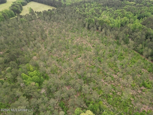 160 Acre in Bienville Parish Near Arcadia, Louisiana