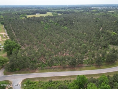 160 Acre in Bienville Parish Near Arcadia, Louisiana - image 8