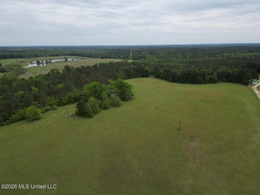160 Acre in Bienville Parish Near Arcadia, Louisiana