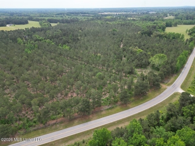 160 Acre in Bienville Parish Near Arcadia, Louisiana - image 9
