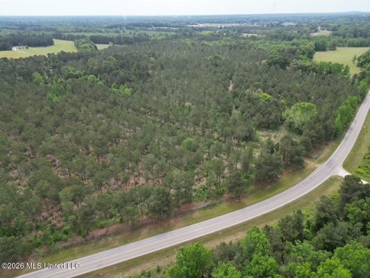 160 Acre in Bienville Parish Near Arcadia, Louisiana