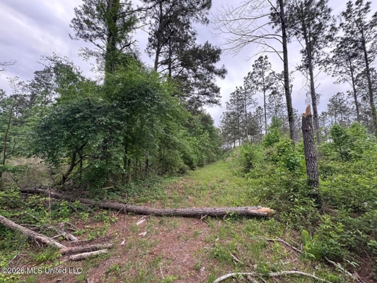 160 Acre in Bienville Parish Near Arcadia, Louisiana