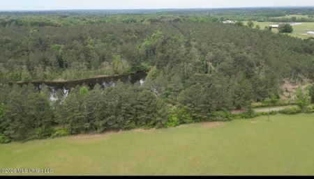 160 Acre in Bienville Parish Near Arcadia, Louisiana - image 24