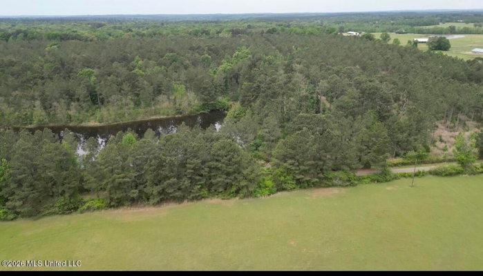 160 Acre in Bienville Parish Near Arcadia, Louisiana