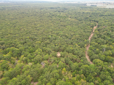 East Texas Hunting Land For Sale - image 12