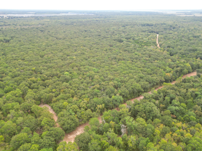 East Texas Hunting Land For Sale - image 11