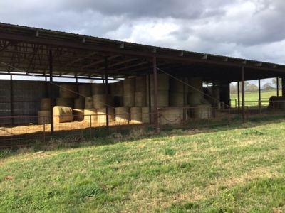 Ozarks Riverfront Cattle & Equine Farm For Sale Near Salem Ar - image 18