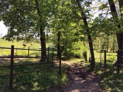 Ozarks Riverfront Cattle & Equine Farm For Sale Near Salem Ar - image 21