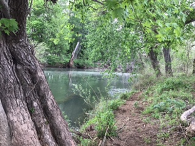 Ozarks Riverfront Cattle & Equine Farm For Sale Near Salem Ar - image 17