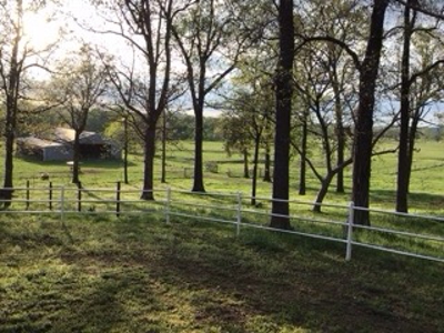 Ozarks Riverfront Cattle & Equine Farm For Sale Near Salem Ar - image 22