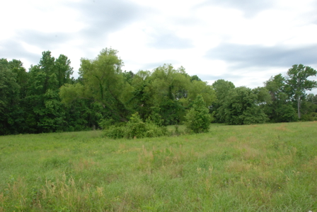 East Texas Pasture Land for Sale Grand Saline TX in Smith County - image 19