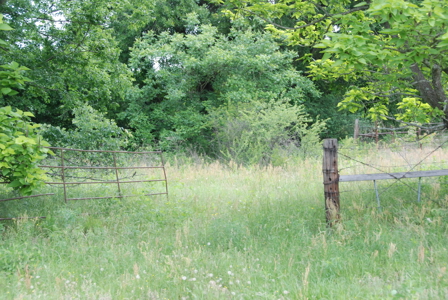 East Texas Pasture Land for Sale Grand Saline TX in Smith County - image 11