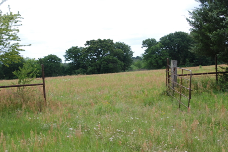 East Texas Pasture Land for Sale Grand Saline TX in Smith County - image 10