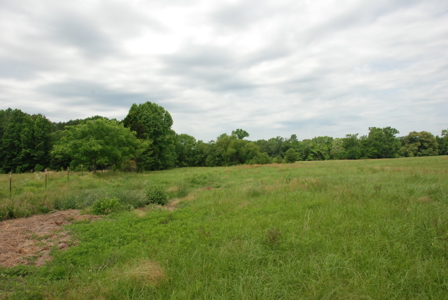 East Texas Pasture Land for Sale Grand Saline TX in Smith County - image 21