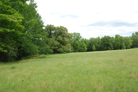 East Texas Pasture Land for Sale Grand Saline TX in Smith County - image 20